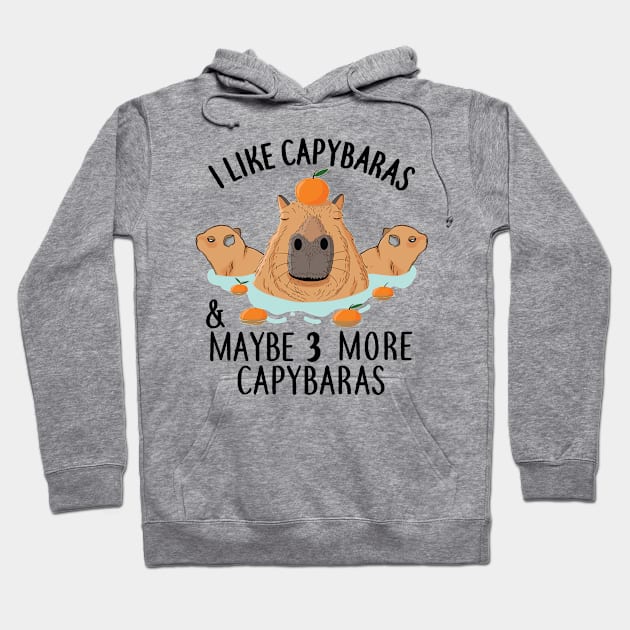 I like Capybaras and maybe 3 people Funny Baby Capybara Hoodie by alltheprints